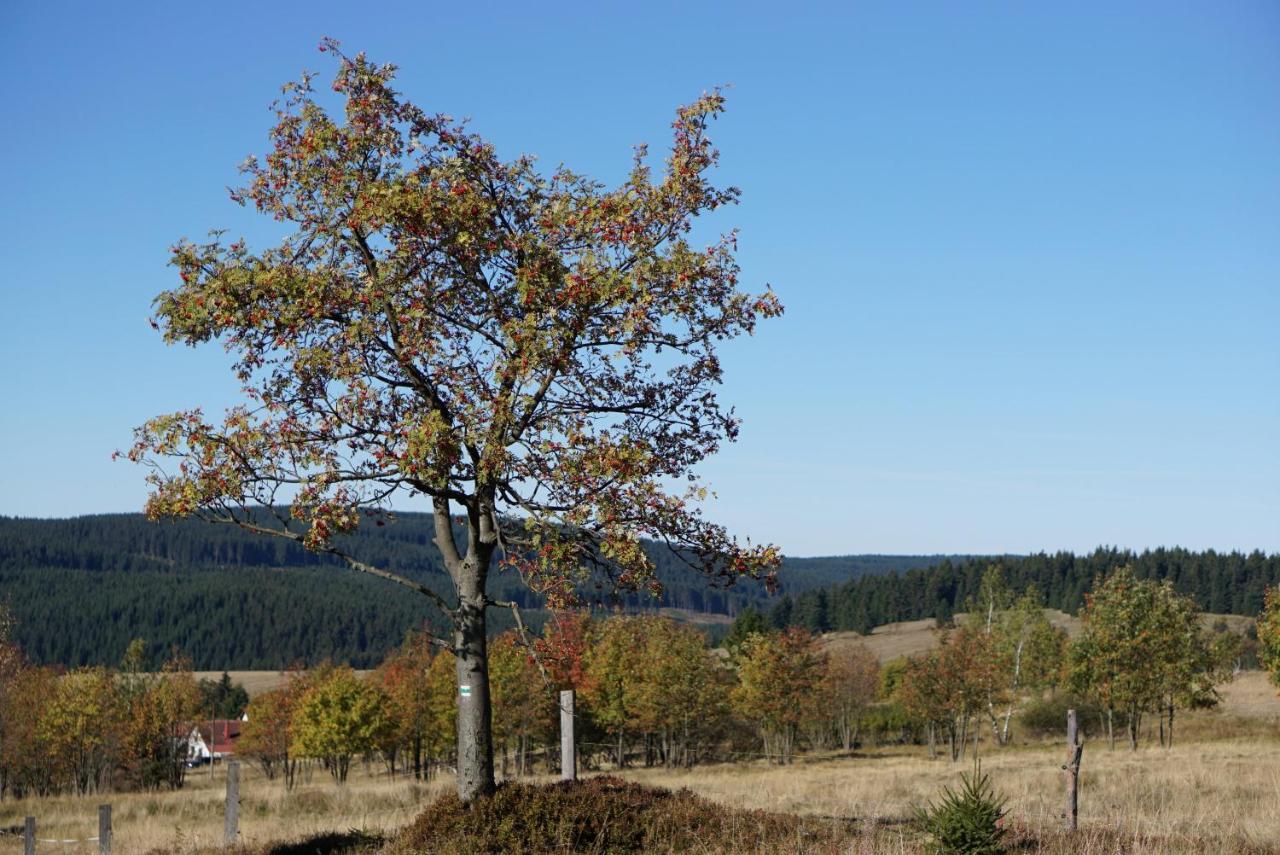 Apartmany U Muzea Horní Blatná Exterior foto